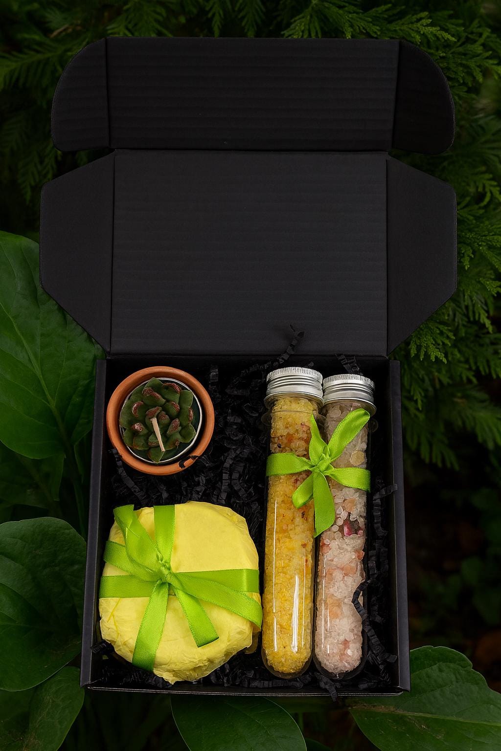 Thinking of You, Succulent Gift Box, Missing You, Friendship Gift, Care Package, Sending Hugs, Succulent Gift, Get Well Soon, Gift for Her